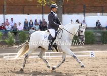 W AFANOSO VIII, DE HNOS. VARA MUNOZ CASILLAS, BRONCE EN SEMENTALES ADULTOS. MONTA CESAR DEL SOLAR